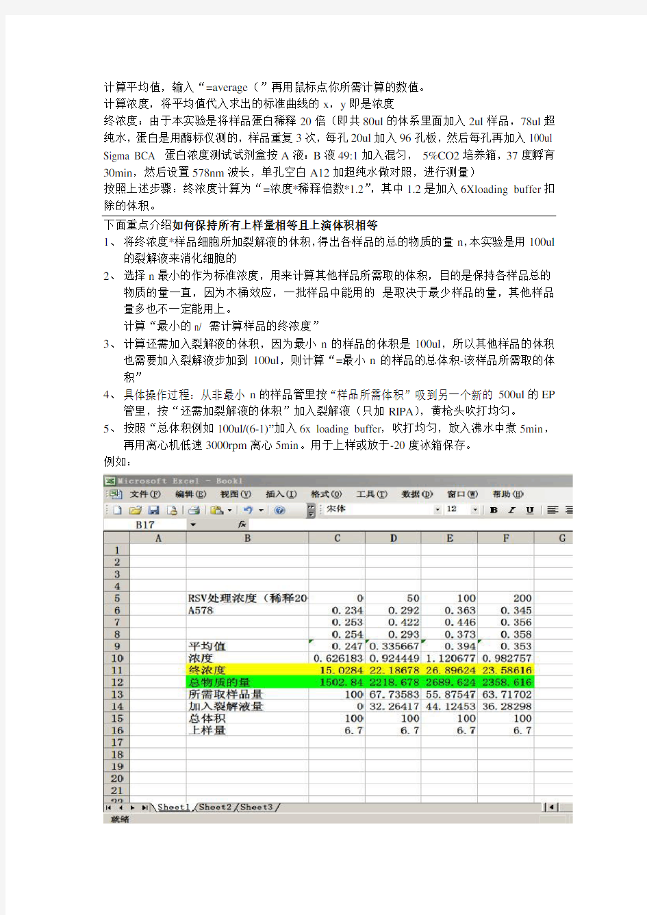 Western电泳中样品定量的上样技巧