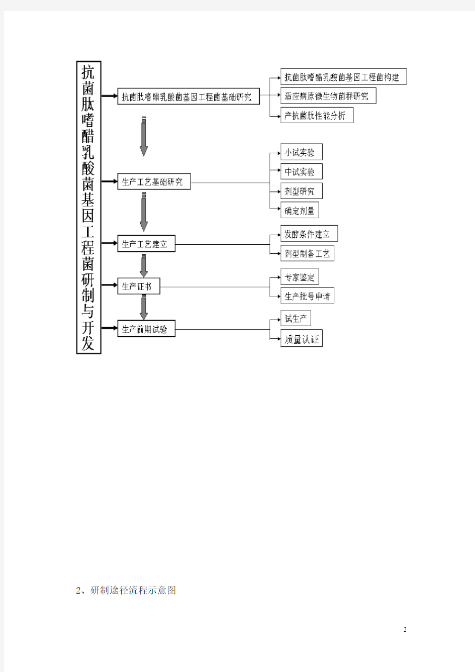 技术路线写法