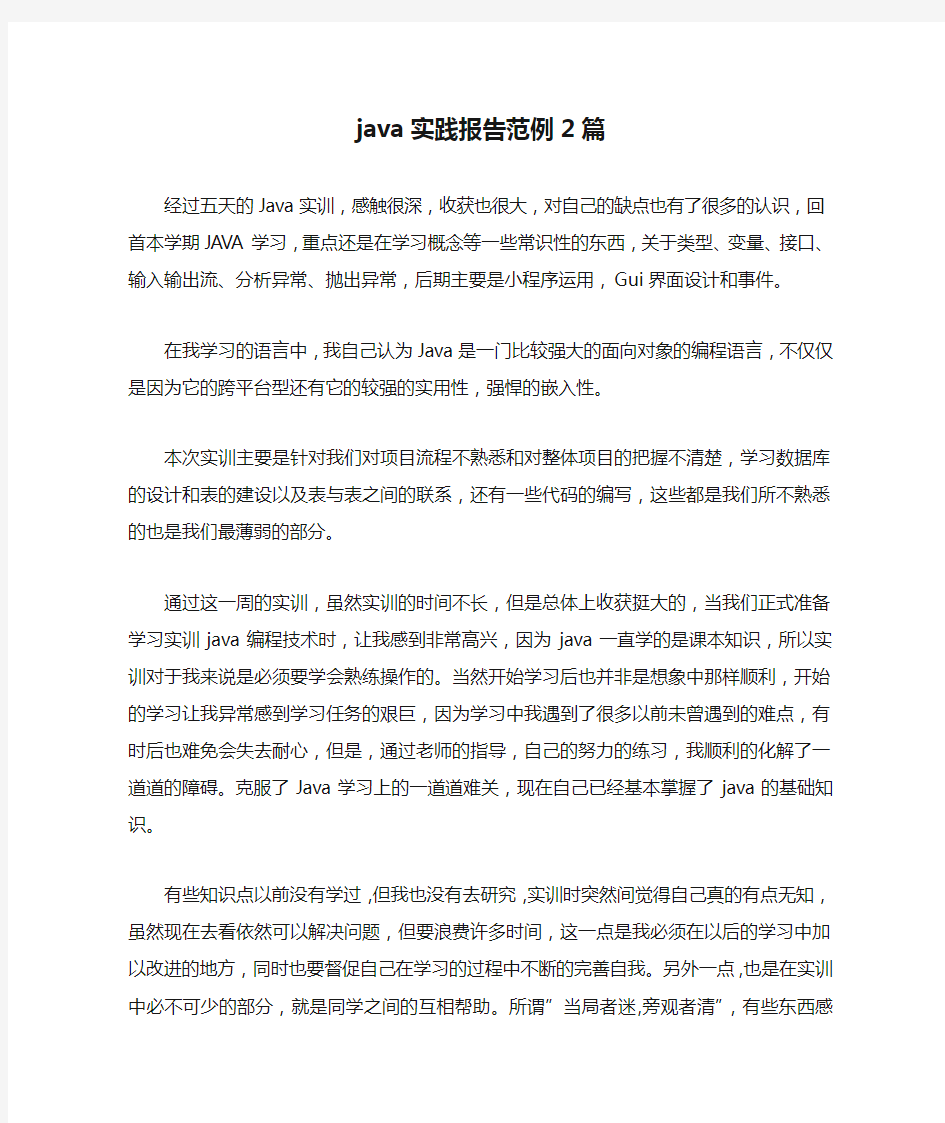 java实践报告范例2篇