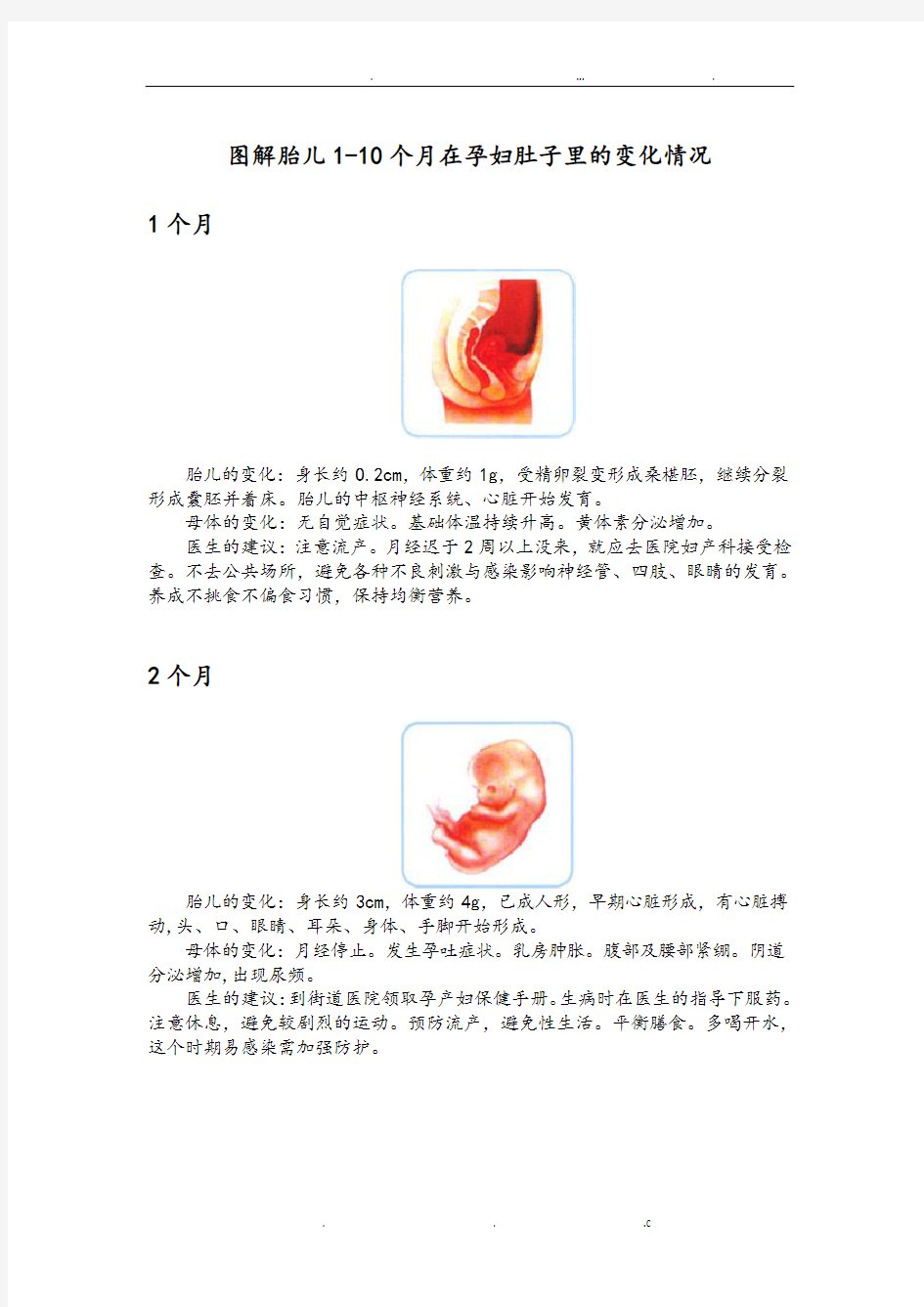 图解胎儿1—10个月在孕妇肚子里的变化情况