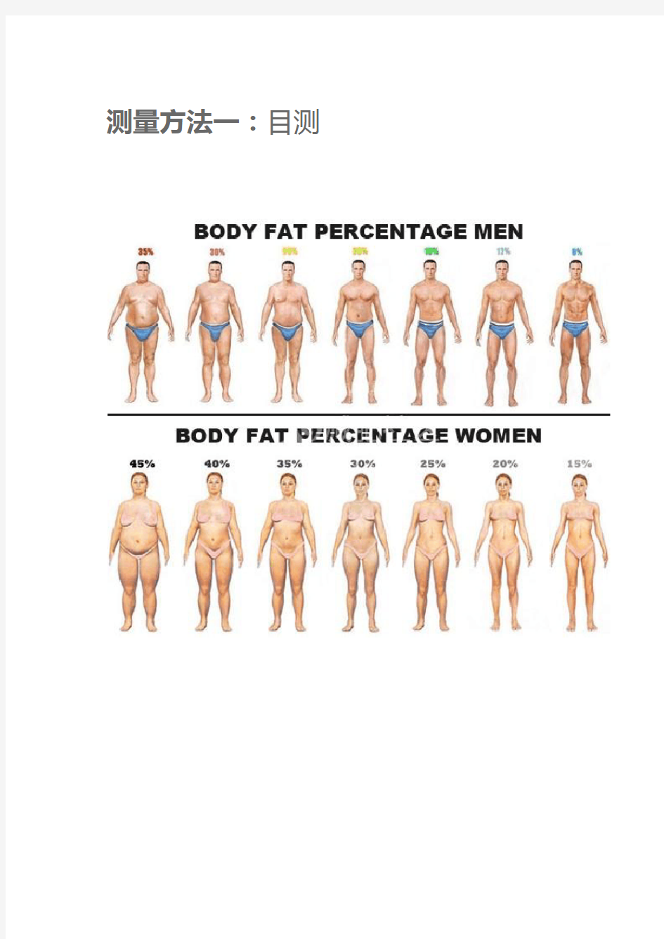 测测你的体脂率 附男女标准体脂率对照表
