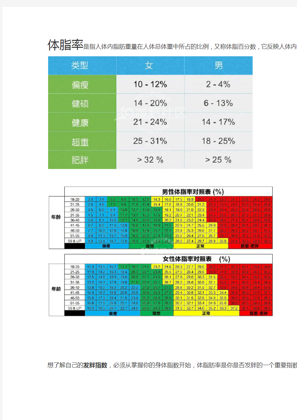 测测你的体脂率 附男女标准体脂率对照表