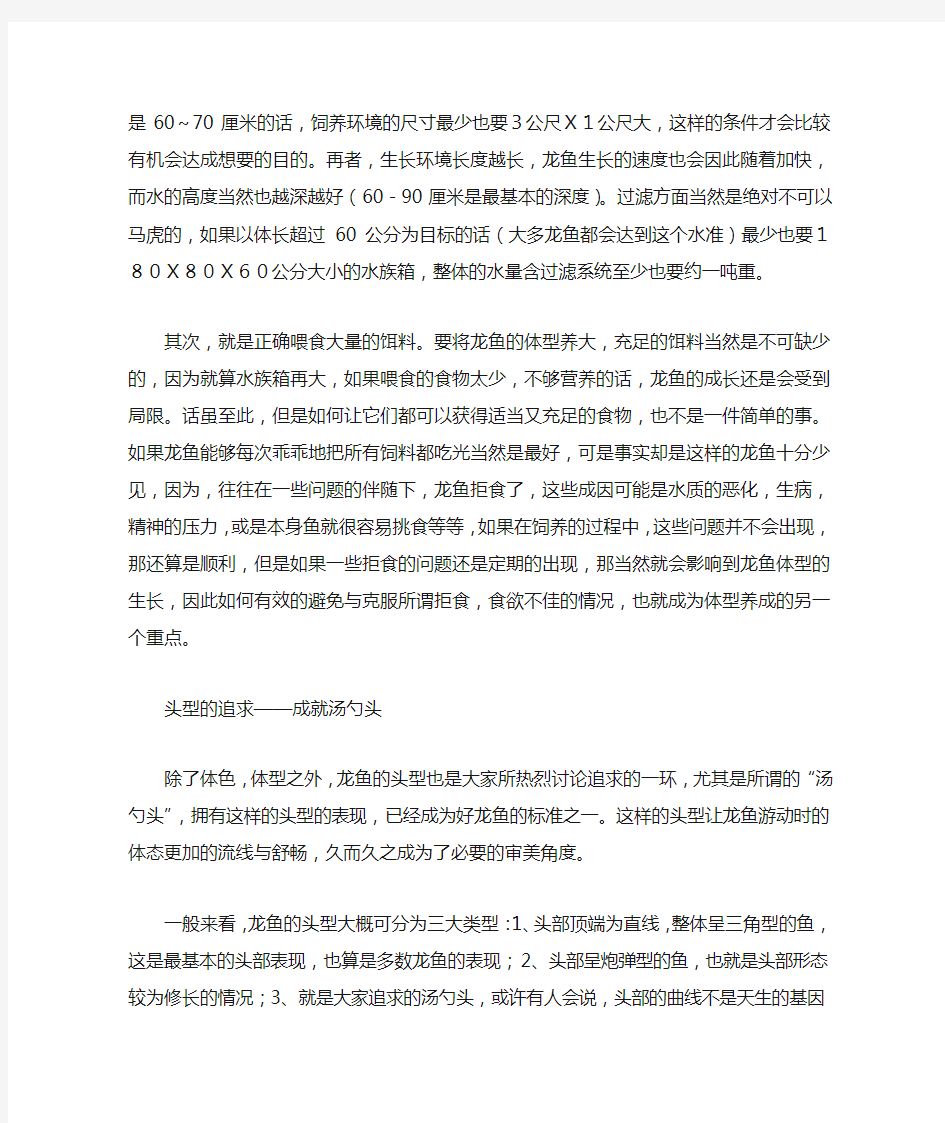 龙鱼体型的养成和维持方法