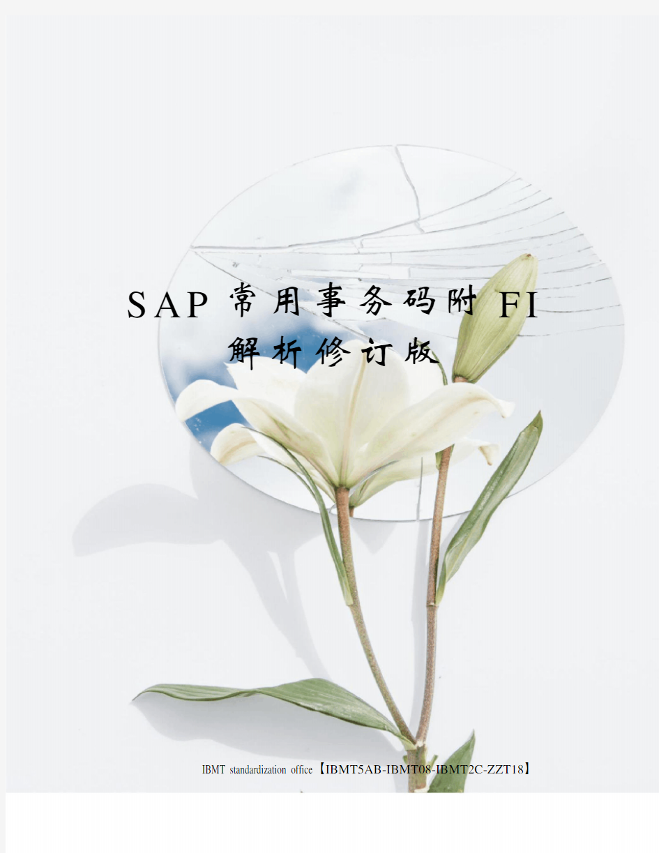 SAP常用事务码附FI解析修订版