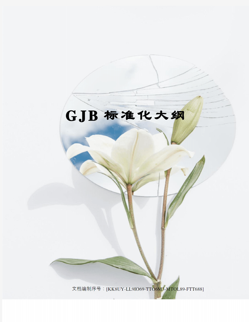 GJB标准化大纲