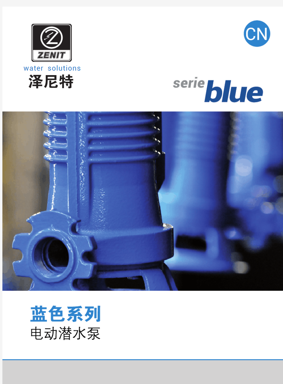 PUMPS-Blue-Series-蓝色系列泵