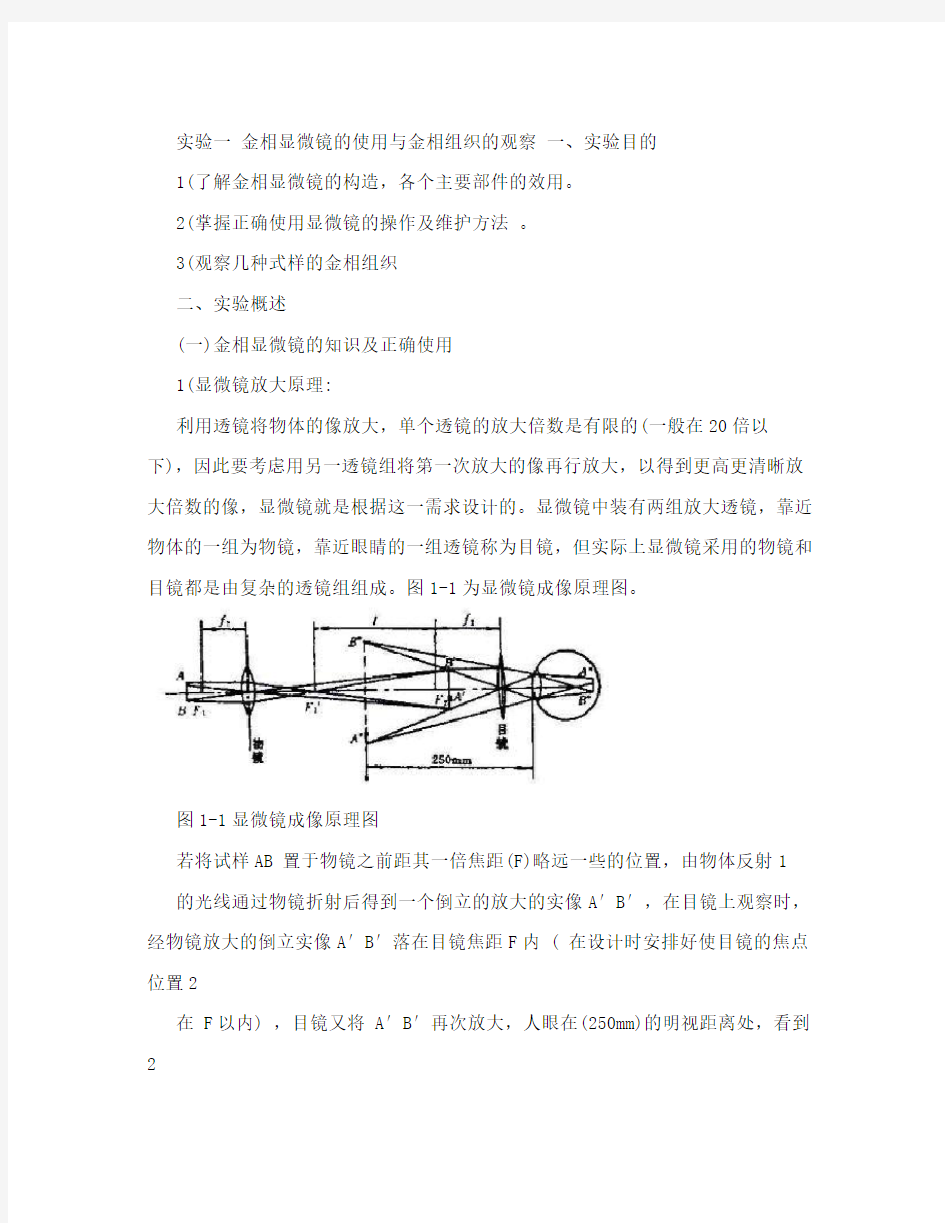 实验一++金相显微镜的使用与金相组织的观察