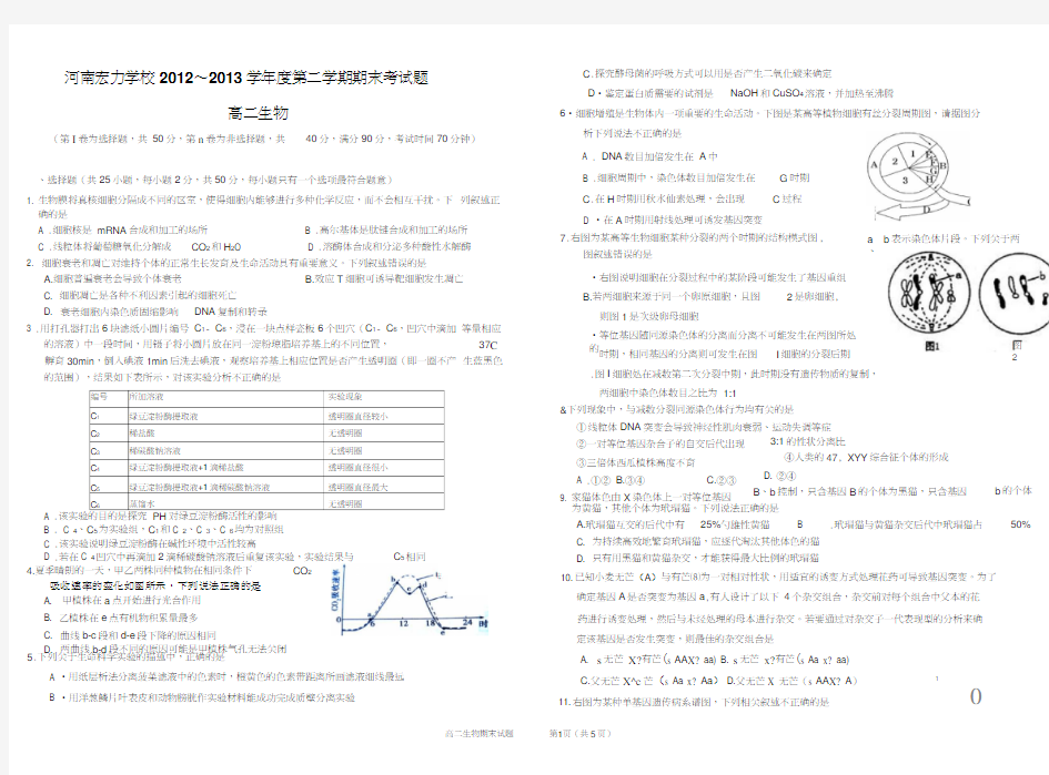 期末考试排版试卷(正式)