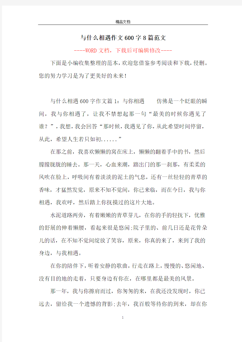 与什么相遇作文600字8篇范文