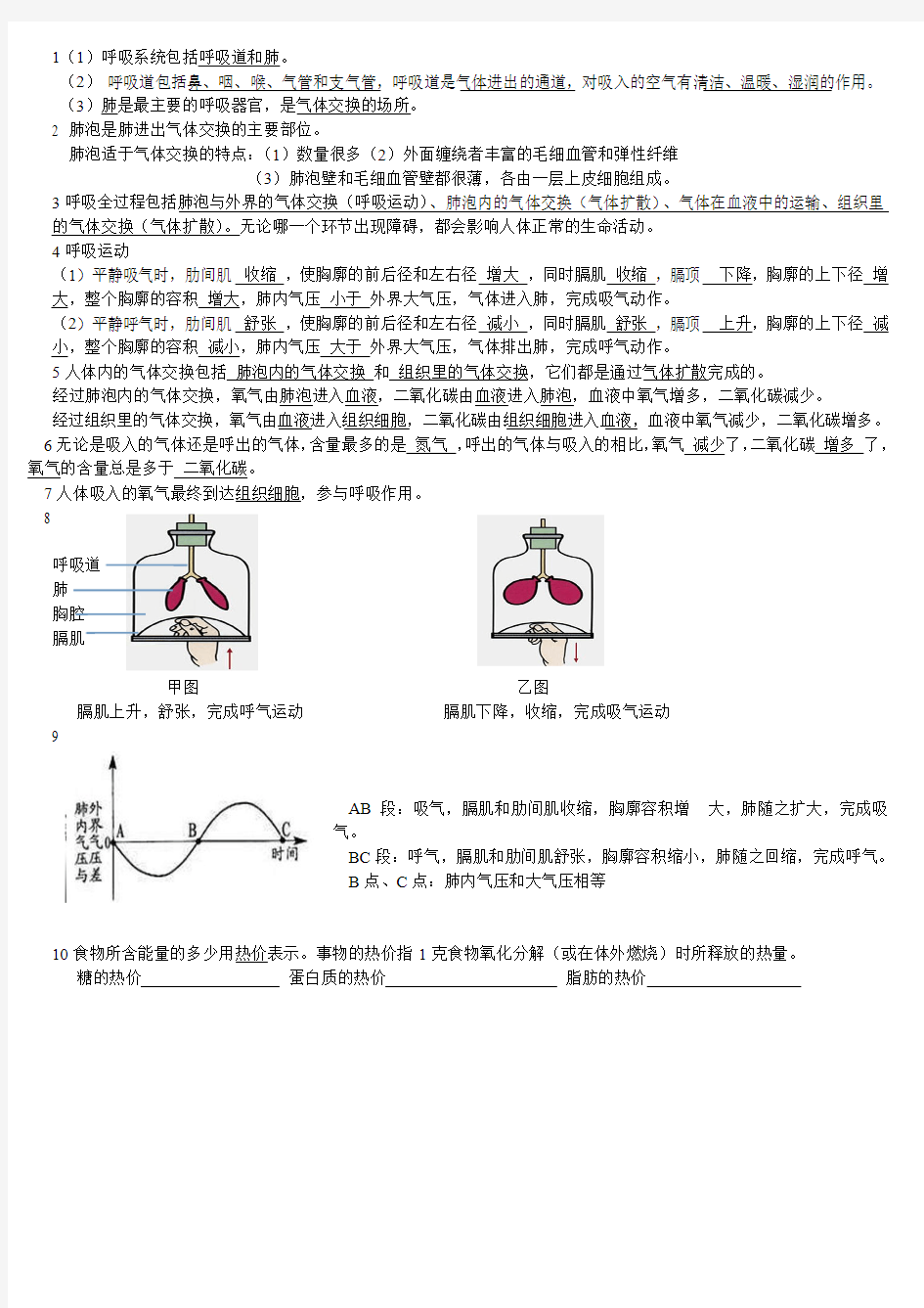 人体与外界的气体交换-(重要知识点)