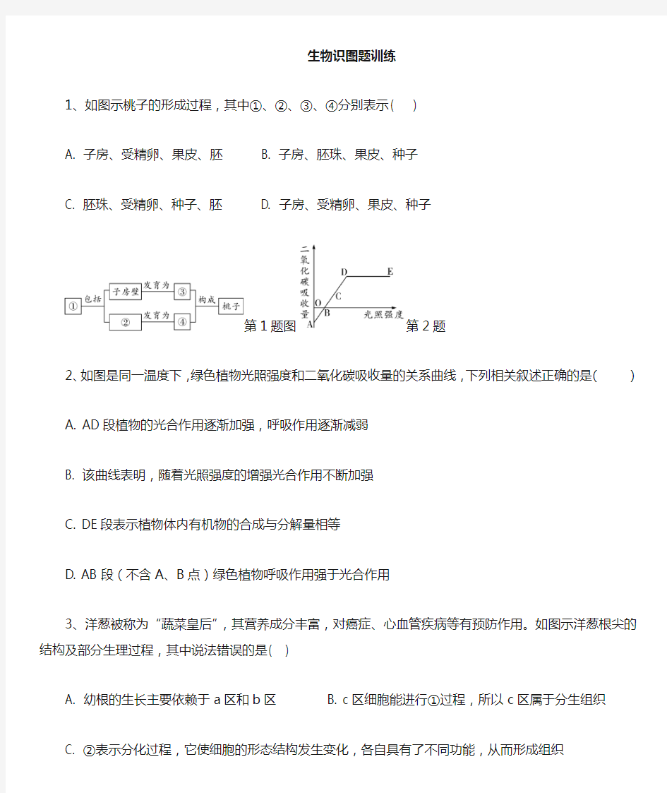 生物会考识图题训练带答案