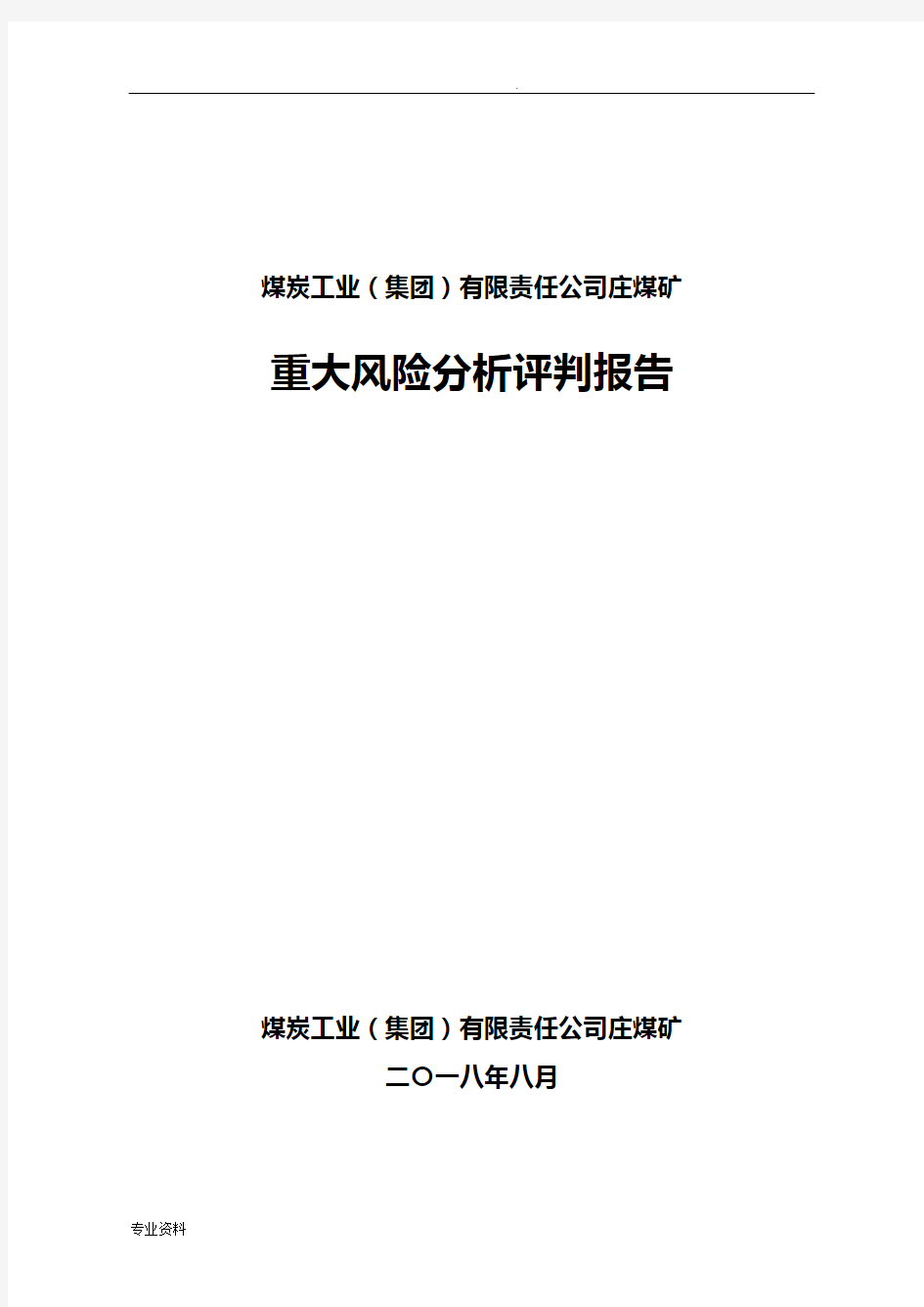 重大风险分析研判报告()