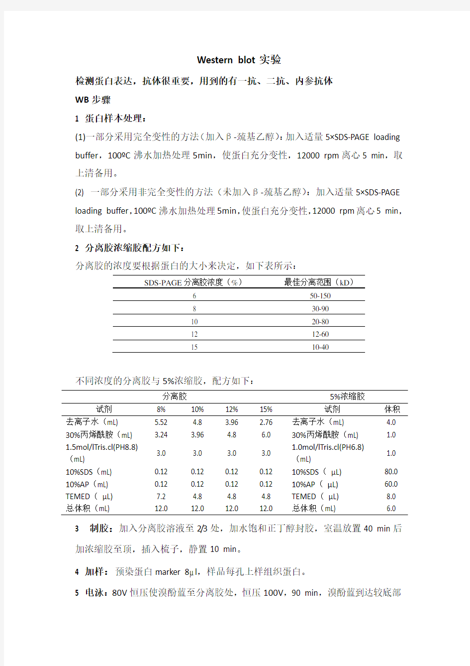 WB详细操作步骤