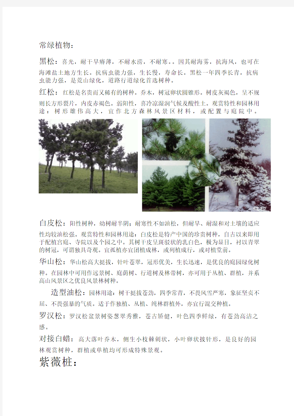 北方常用园林植物汇总