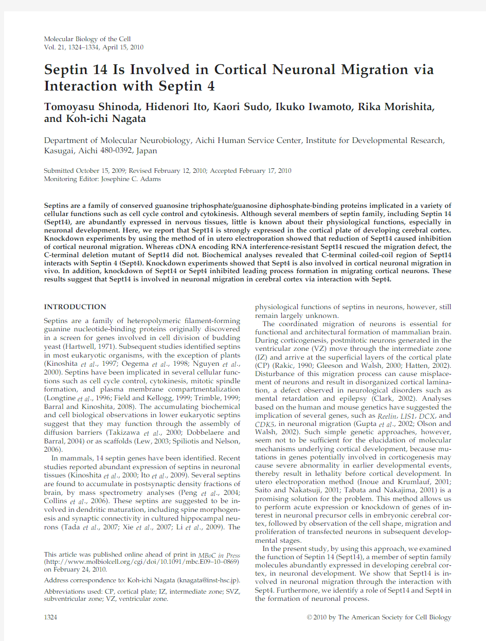 Septin 14 Is Involved in Cortical Neuronal Migration via