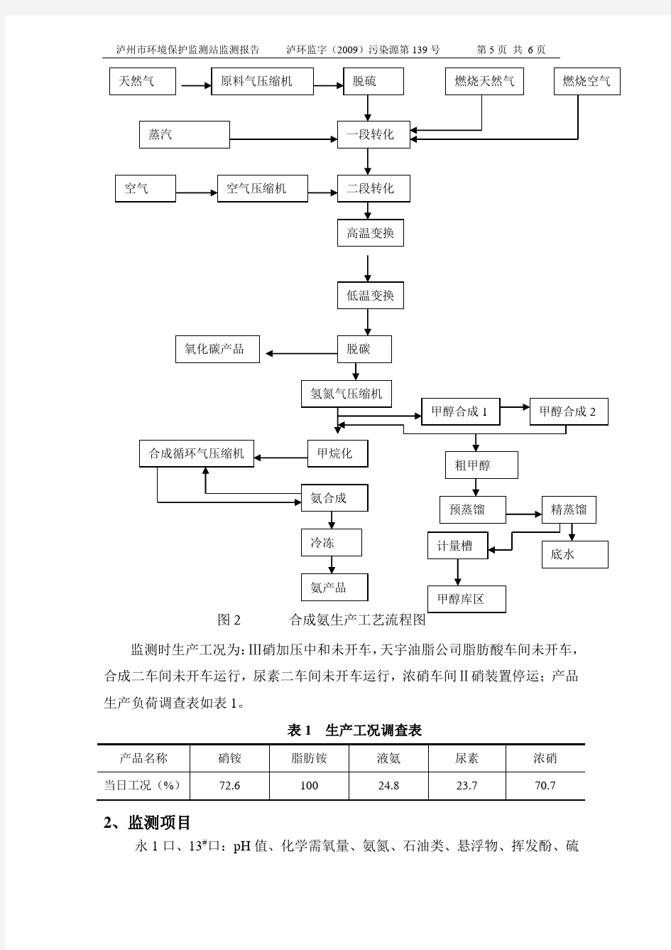 监督性监测报告模板