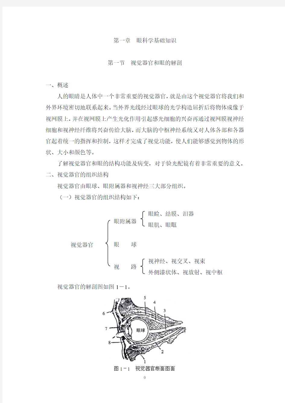 视觉器官和眼的解剖