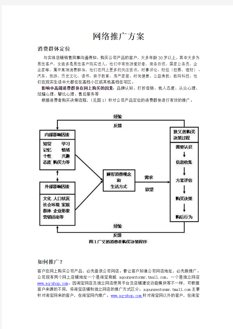 网络推广方案