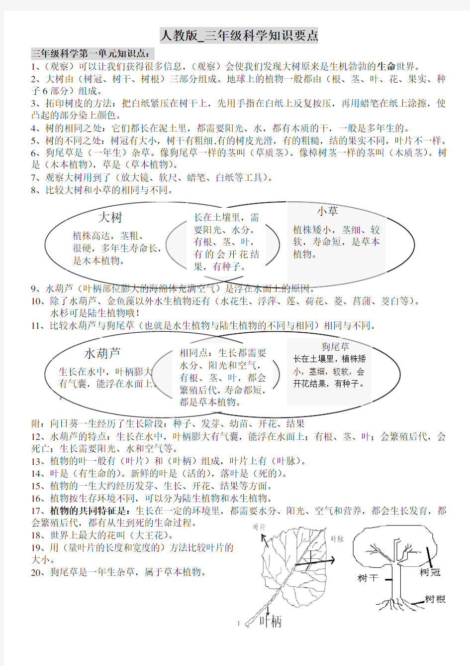 最全的人教版三年级科学知识要点精心整理