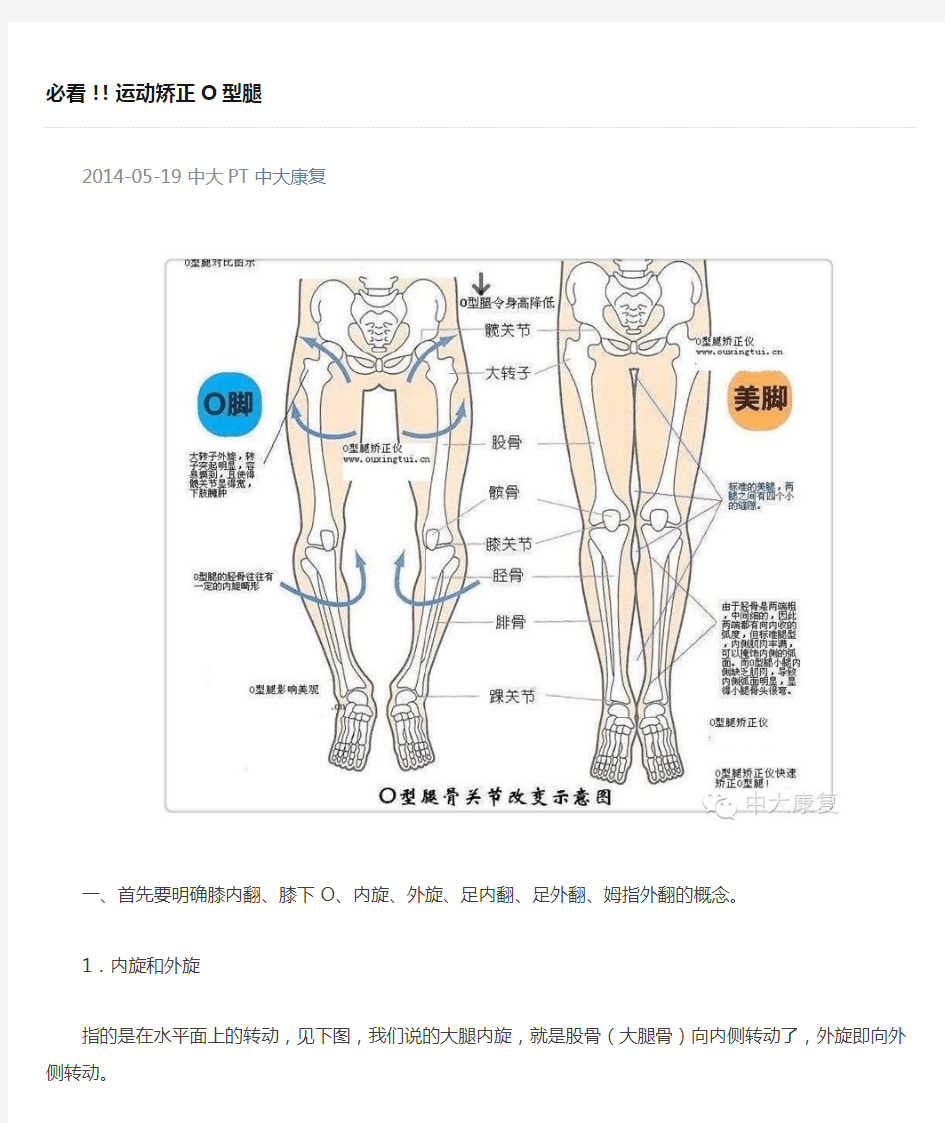 必看!!运动矫正O型腿