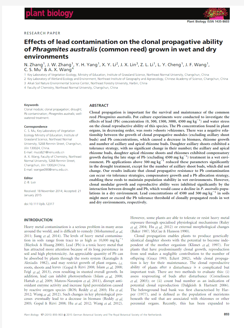 Effects of lead contamination on the clonal propagation ability of Phragmites australis (common reed