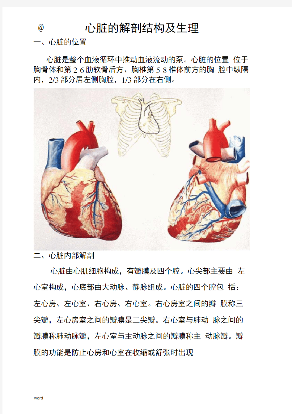 心脏的解剖结构及生理(含彩图)
