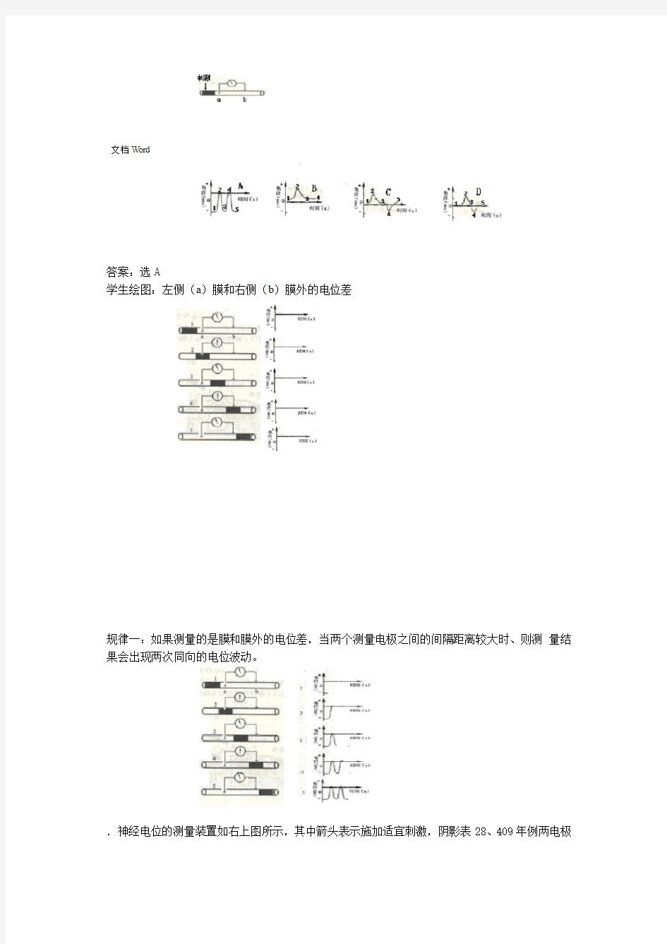 膜电位变化及其测量