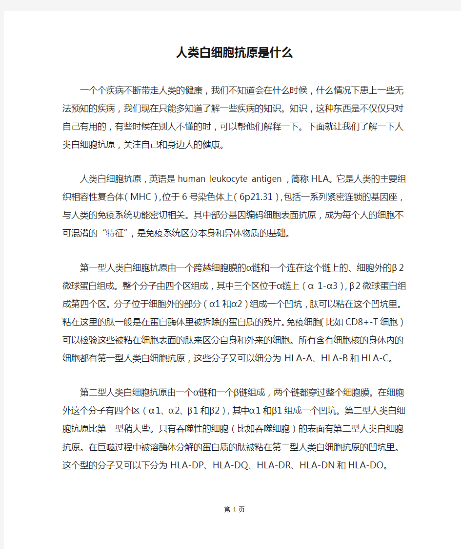 人类白细胞抗原是什么