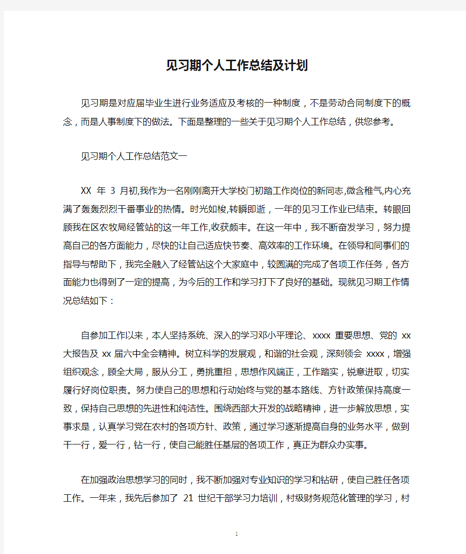 见习期个人工作总结及计划