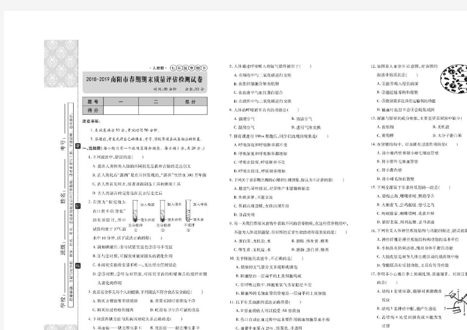 2018-2019人教版生物七年级下册期末考试试卷及答案