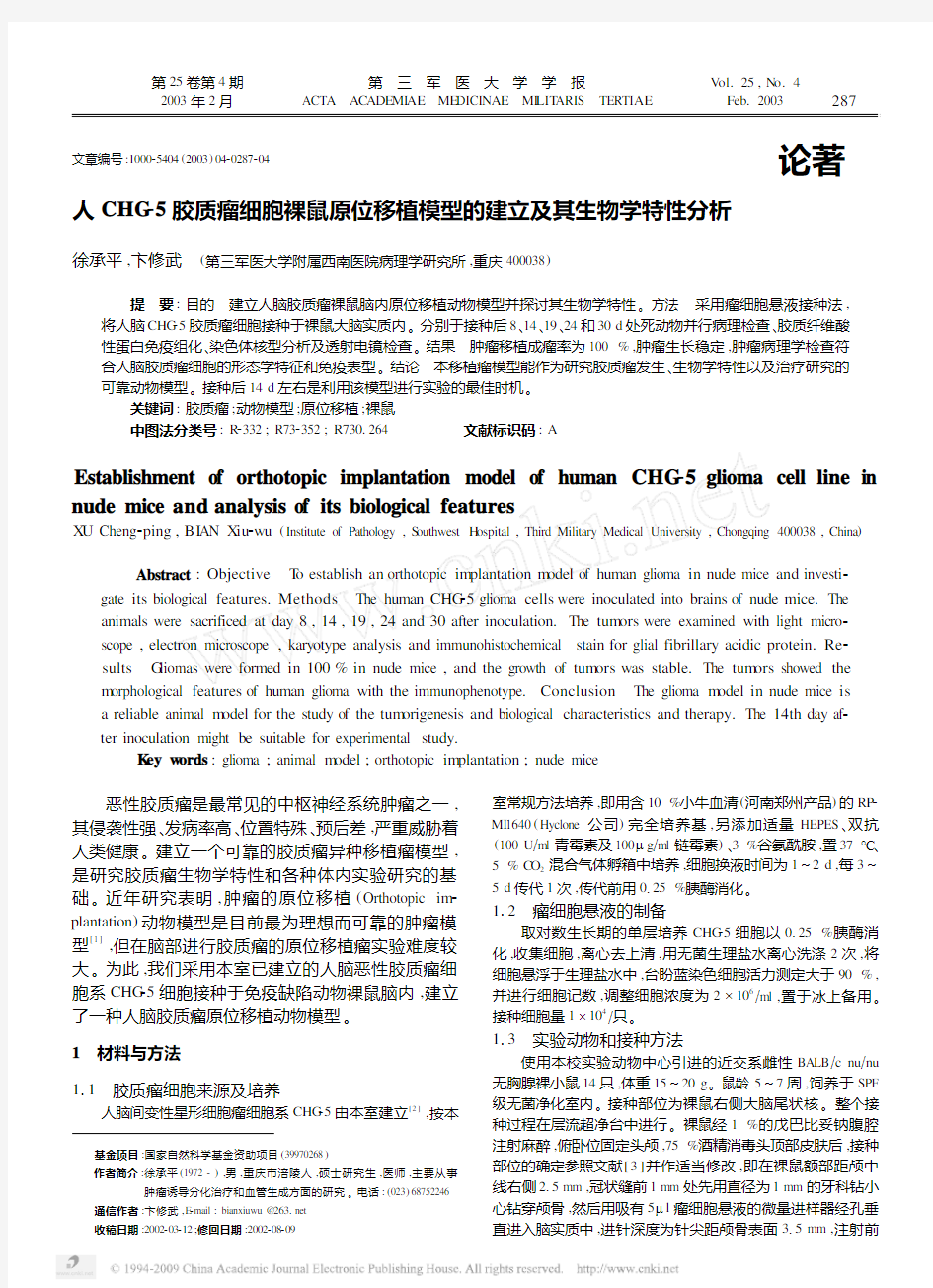 人CHG_5胶质瘤细胞裸鼠原位移植模型的建立及其生物学特性分析