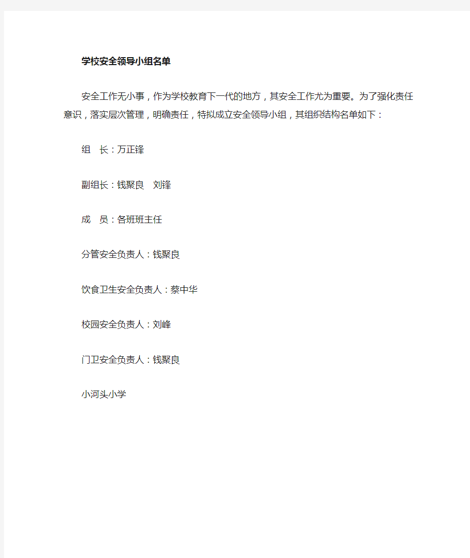 安全领导小组名单