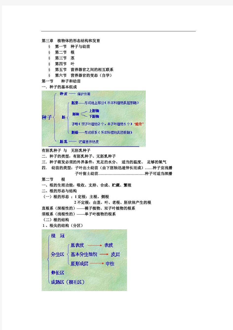 根叶茎前植物的形态结构.