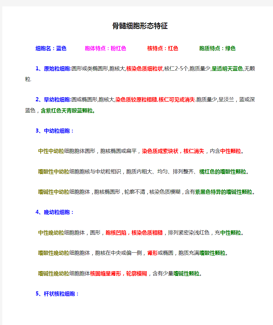 骨髓细胞形态特征