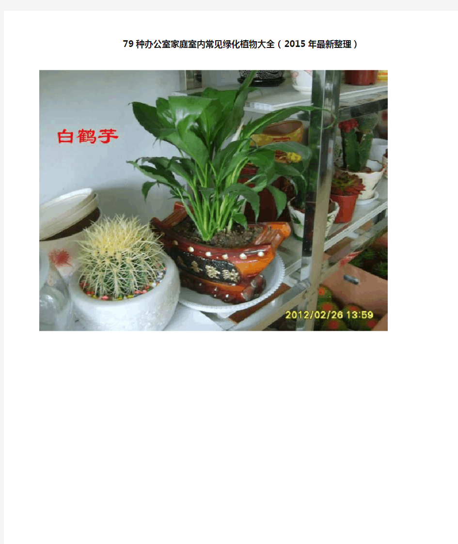 79种办公室家庭室内常见绿化植物大全2015版