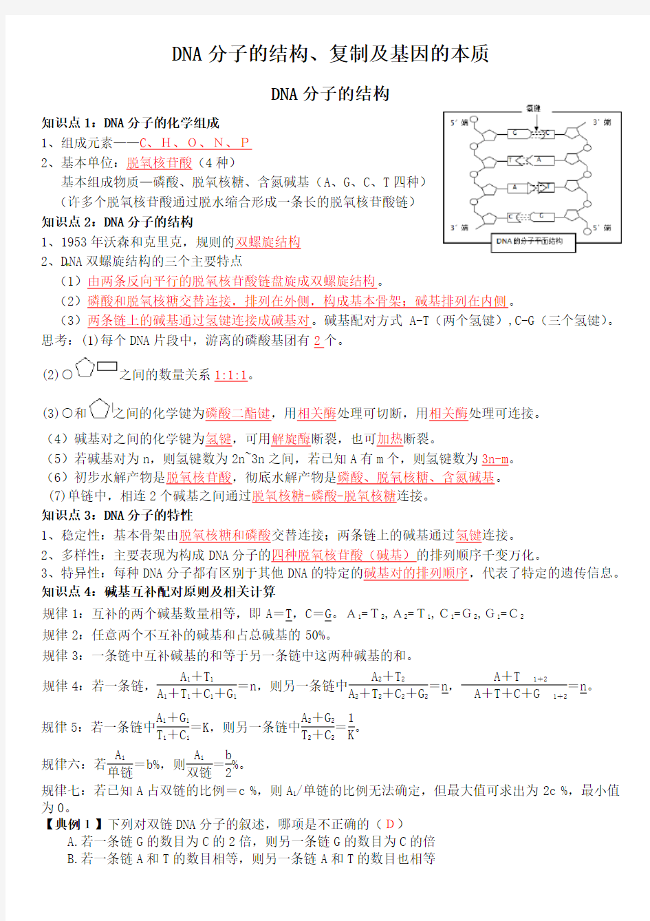 DNA分子的结构、复制及基因的本质一轮复习教学案(教师版)