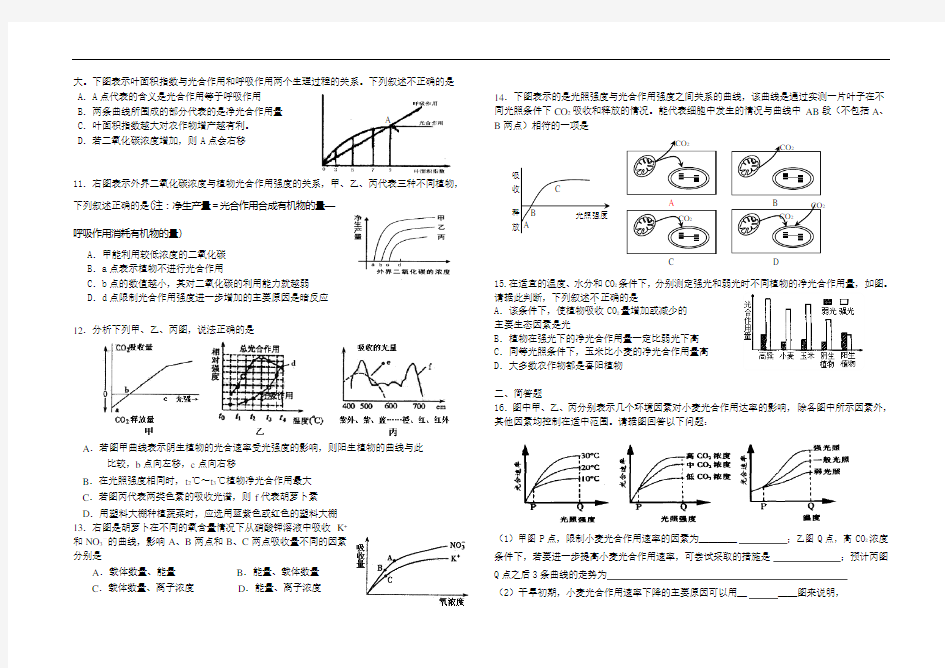 光合作用图像专题终极版