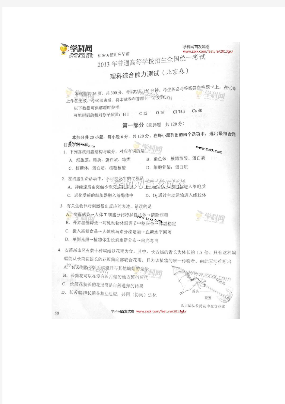 2013年高考真题——理综带答案(北京)