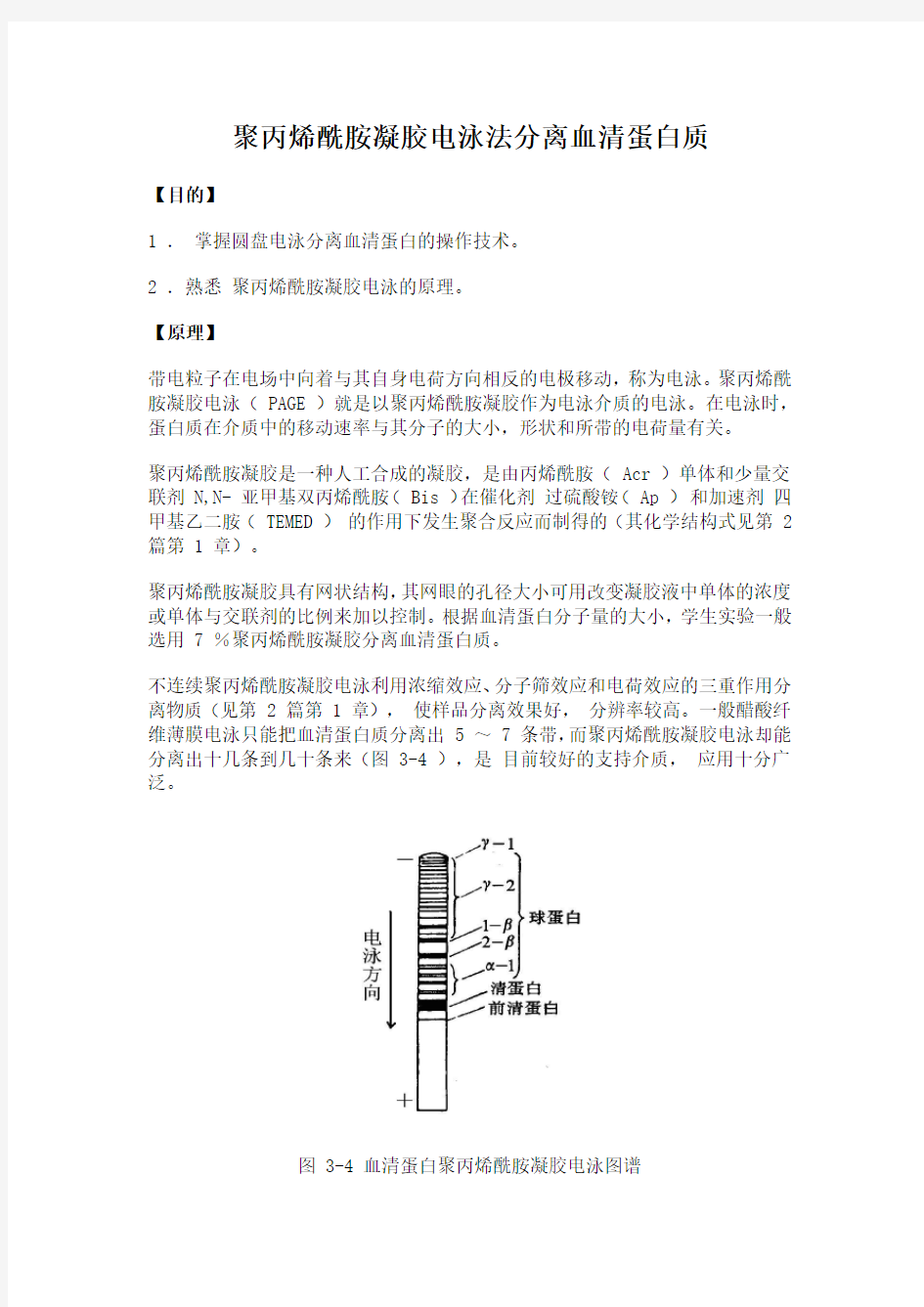 05 生物化学实验--聚丙烯酰胺凝胶电泳法分离血清蛋白质