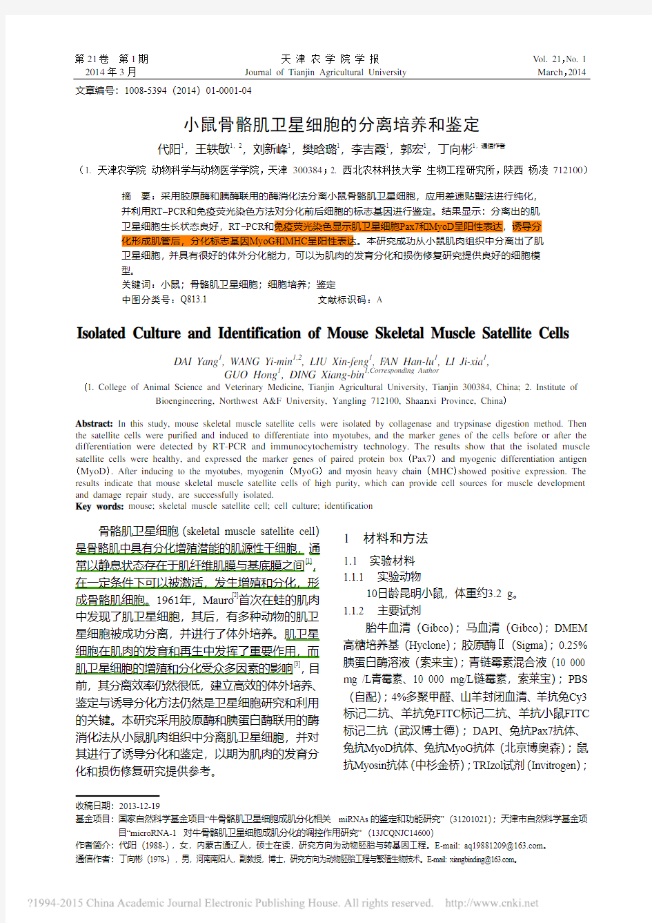 小鼠骨骼肌卫星细胞的分离培养和鉴定_代阳