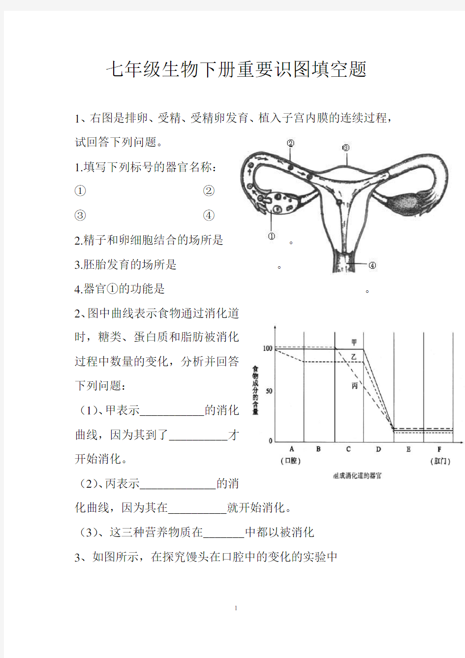 七年级生物下册重要识图填空题知识分享