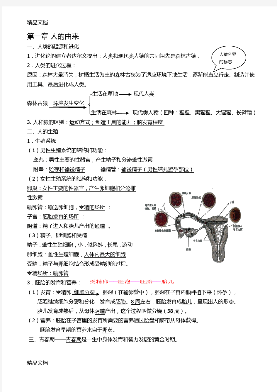 最新初中生物-七年级下册知识点整理