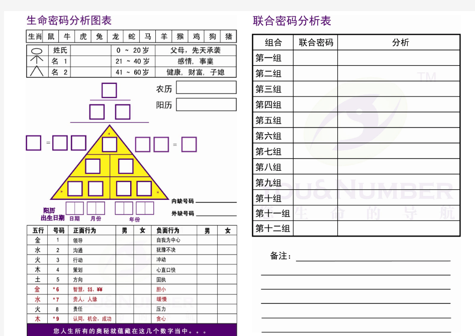 You&Number 联合密码分析图表