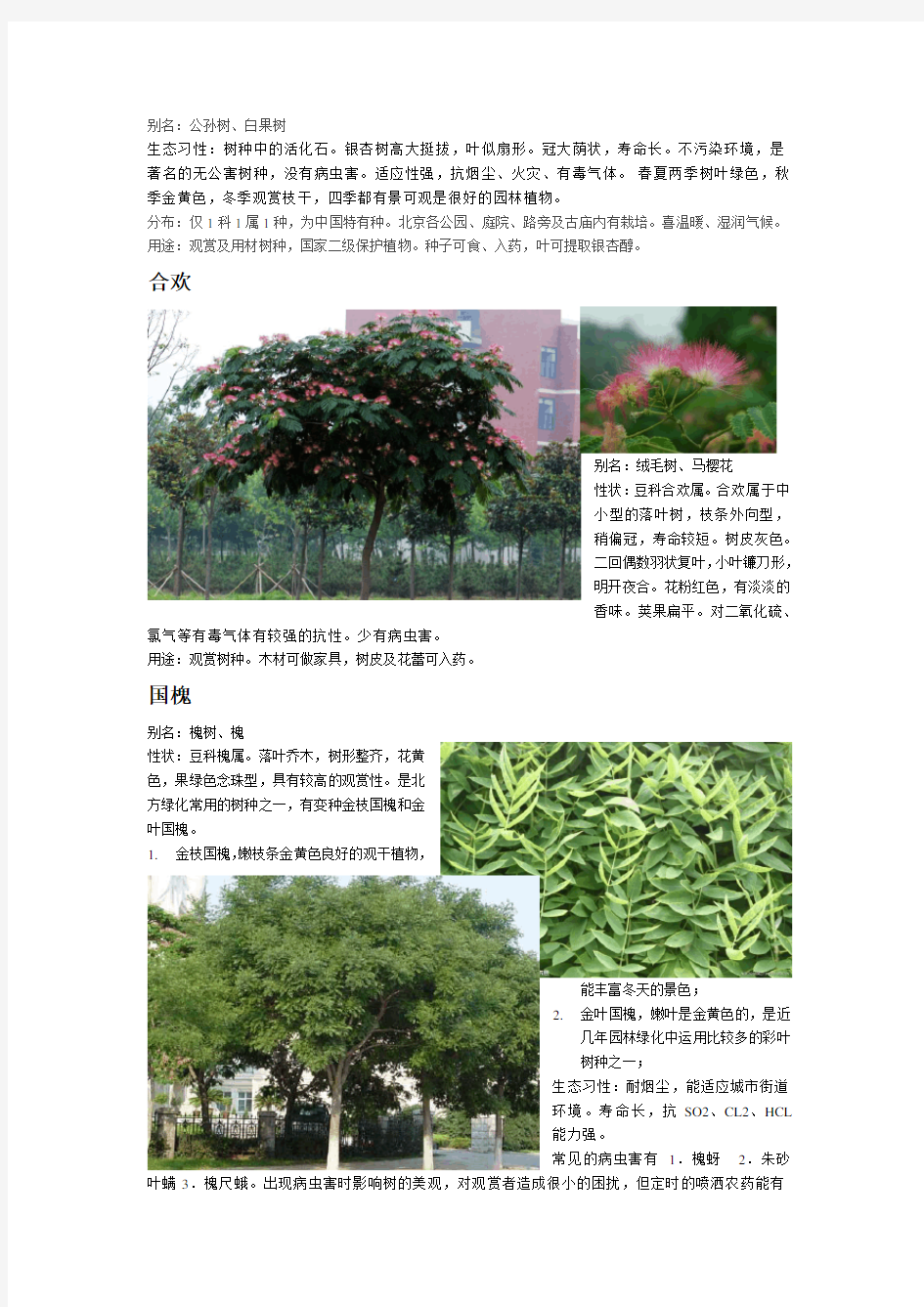 树种介绍及价格