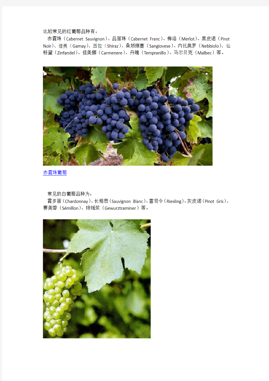 比较常见的红葡萄品种