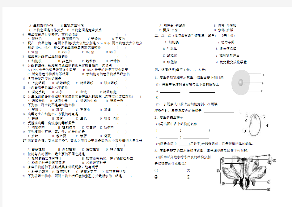 初一生物期末考试试题