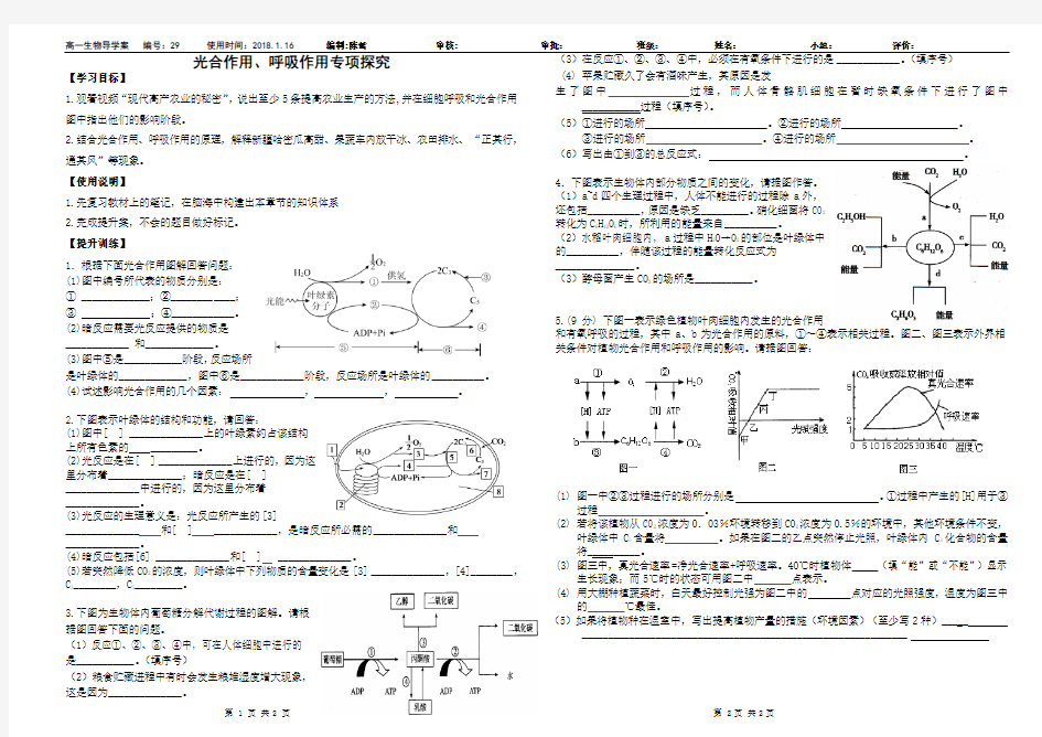 高中高一生物必修一光合作用、呼吸作用综合测试题练习题教学内容