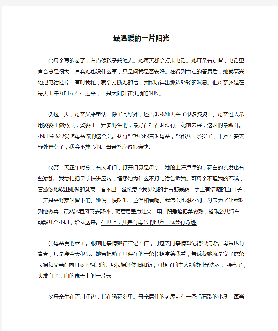 《最温暖的一片阳光》阅读练习及答案