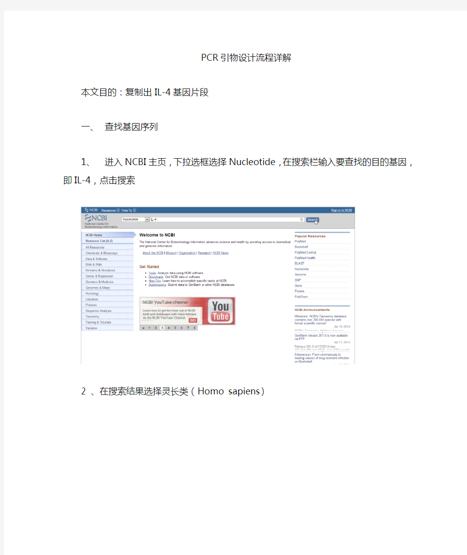 PCR引物流程设计详细讲解