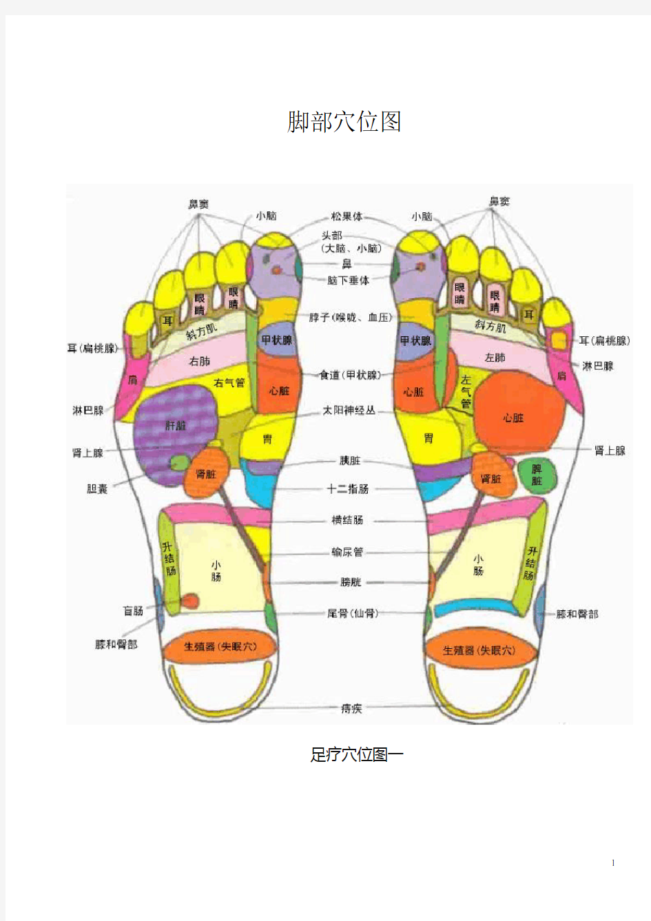 脚部穴位图全面(图文)